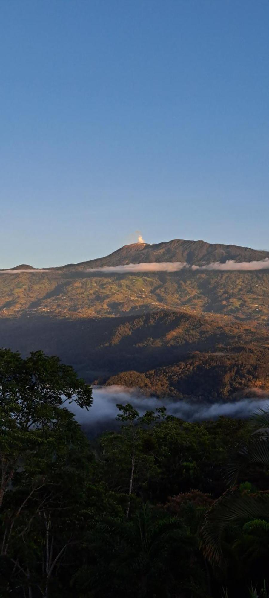 Pochotel Turrialba Bilik gambar