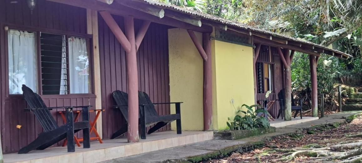 Pochotel Turrialba Bilik gambar