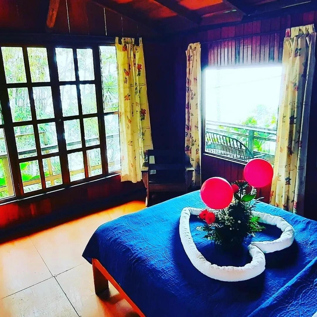 Pochotel Turrialba Bilik gambar